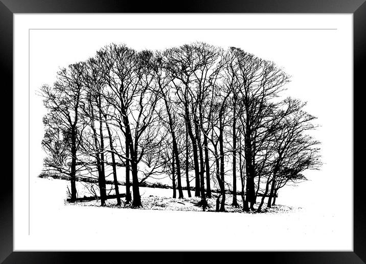 Winter trees in snow - black and white Framed Mounted Print by Chris Warham