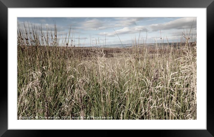 Through the long grass to the Peak District moors Framed Mounted Print by Chris Warham