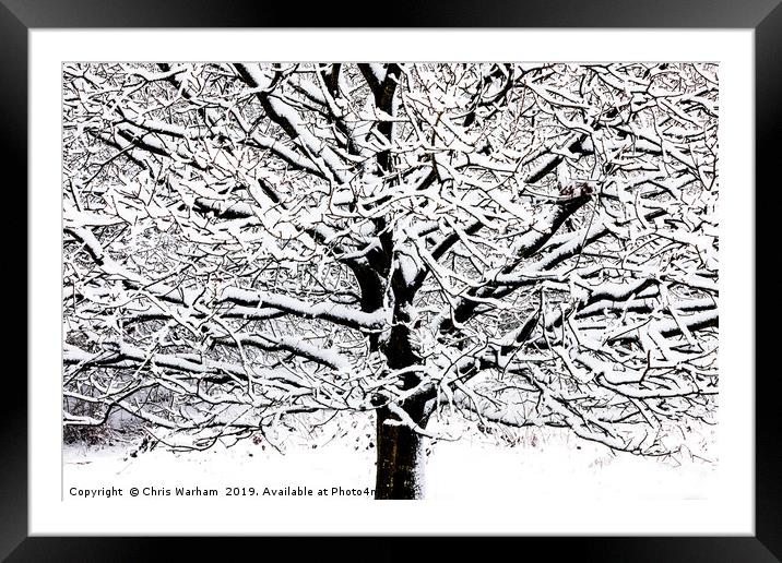 Tree with snow - black and white high contrast Framed Mounted Print by Chris Warham