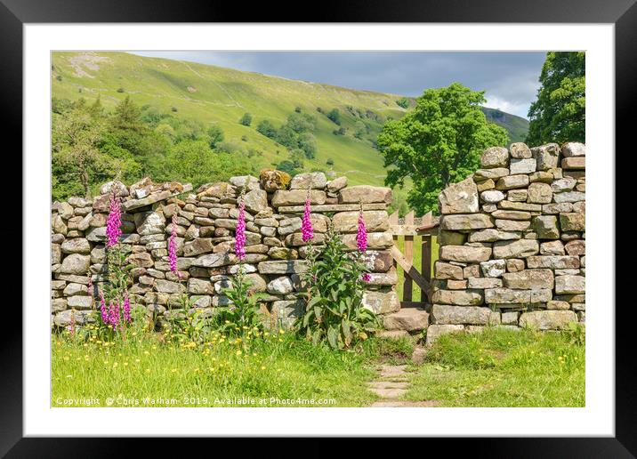 Swaledale - gateway to a hay meadow Framed Mounted Print by Chris Warham