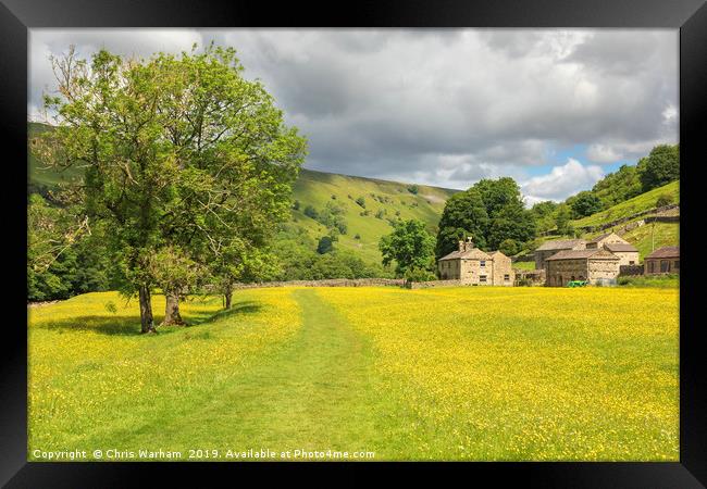 Muker Swaledale  buttercup meadows Framed Print by Chris Warham