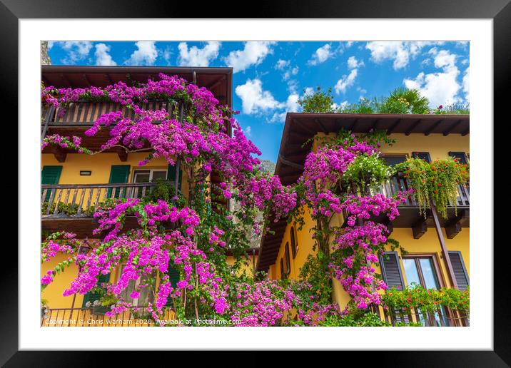 Bougainvillea on a house wall in Limone Italy Framed Mounted Print by Chris Warham
