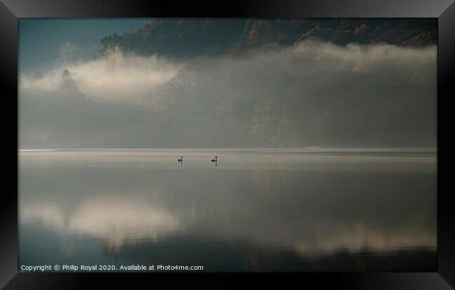 Loweswater Mist and Swans, Lake District Framed Print by Philip Royal