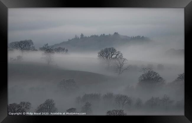 Tree in Mist, Loweswater, Lake District Framed Print by Philip Royal