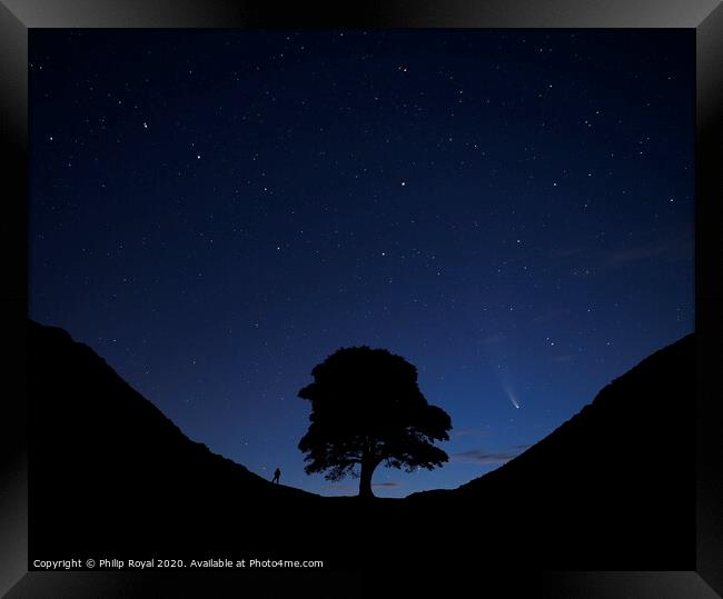 Stargazing Comets at Sycamore Gap, Northumberland Framed Print by Philip Royal