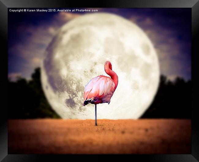  Flamingo Moon Framed Print by Karen Mackey