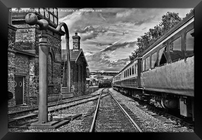  Trackside Framed Print by PETER MARSH