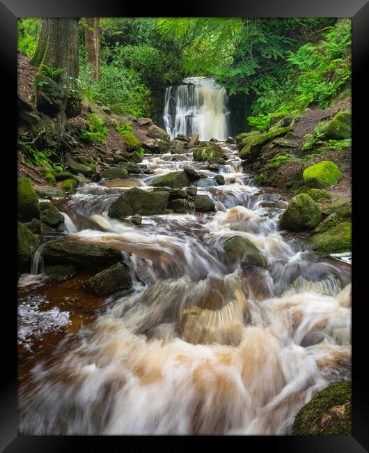 Tigers Clough Bolton Framed Print by Phil Durkin DPAGB BPE4