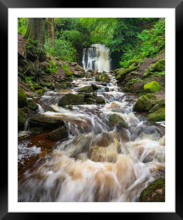 Tigers Clough Bolton Framed Mounted Print by Phil Durkin DPAGB BPE4