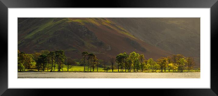 Buttermere Pines With Fleetwith Pike Framed Mounted Print by Phil Durkin DPAGB BPE4