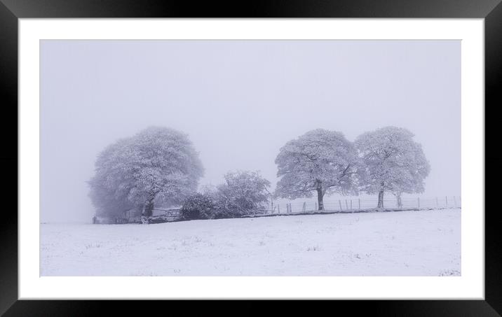 The Copse In Winter Framed Mounted Print by Phil Durkin DPAGB BPE4