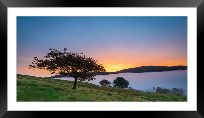 Lone Tree Over Coniston At Sunrise Framed Mounted Print by Phil Durkin DPAGB BPE4