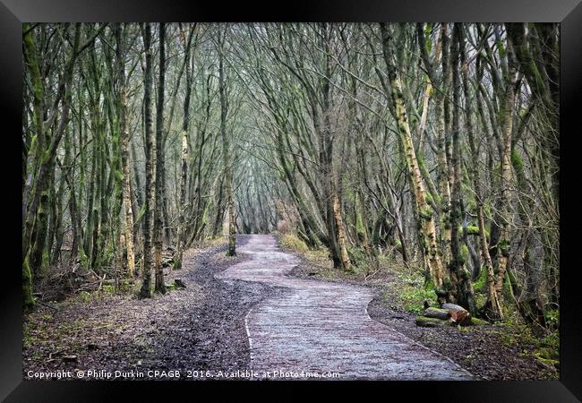The Pathway Framed Print by Phil Durkin DPAGB BPE4