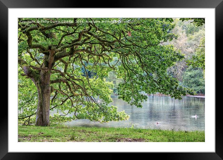 Cannop Waterside Scene Framed Mounted Print by Phil Durkin DPAGB BPE4