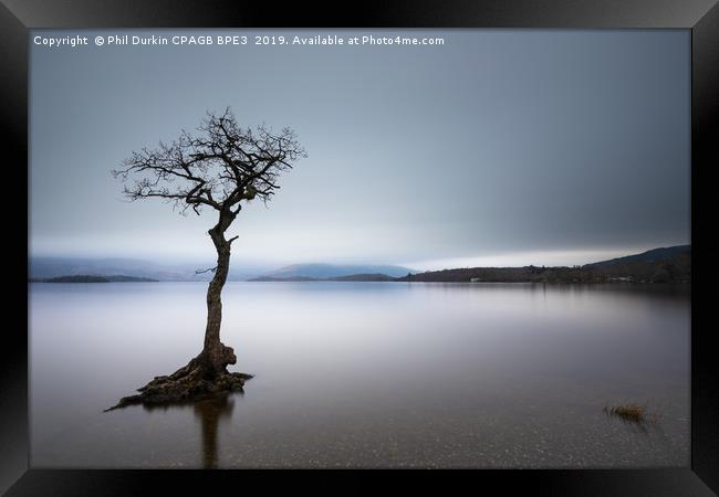 Lone Tree - Loch Lomond Framed Print by Phil Durkin DPAGB BPE4