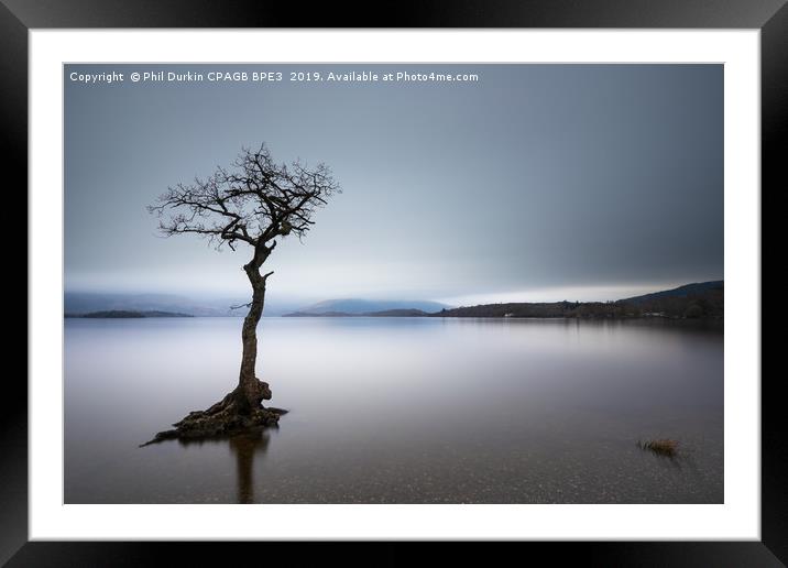 Lone Tree - Loch Lomond Framed Mounted Print by Phil Durkin DPAGB BPE4