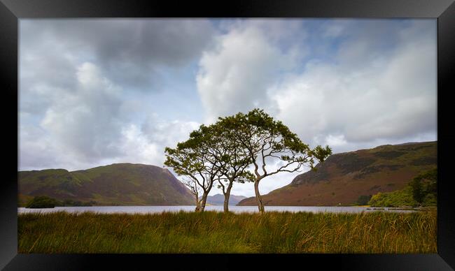 Buttermere In The Lake District National Park Framed Print by Phil Durkin DPAGB BPE4