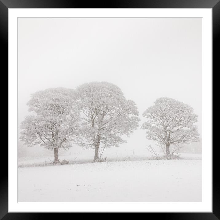 Three Oak  Trees in Winter Framed Mounted Print by Phil Durkin DPAGB BPE4