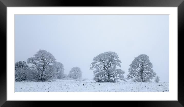 Winter Snow Covered Oak Trees Framed Mounted Print by Phil Durkin DPAGB BPE4