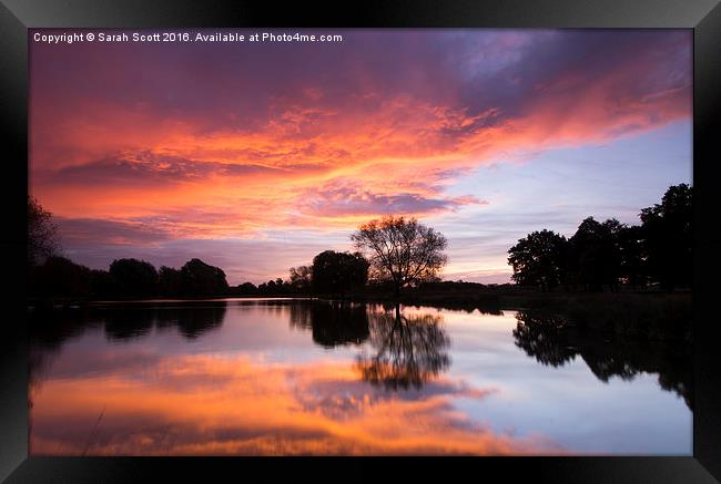 Sunrise on a Waters Edge Framed Print by Sarah Scott