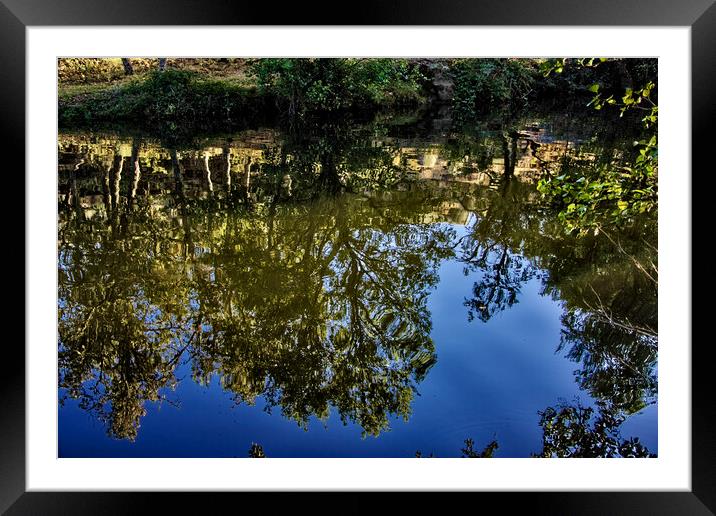 Reflections on the water, the forest Framed Mounted Print by Jose Manuel Espigares Garc