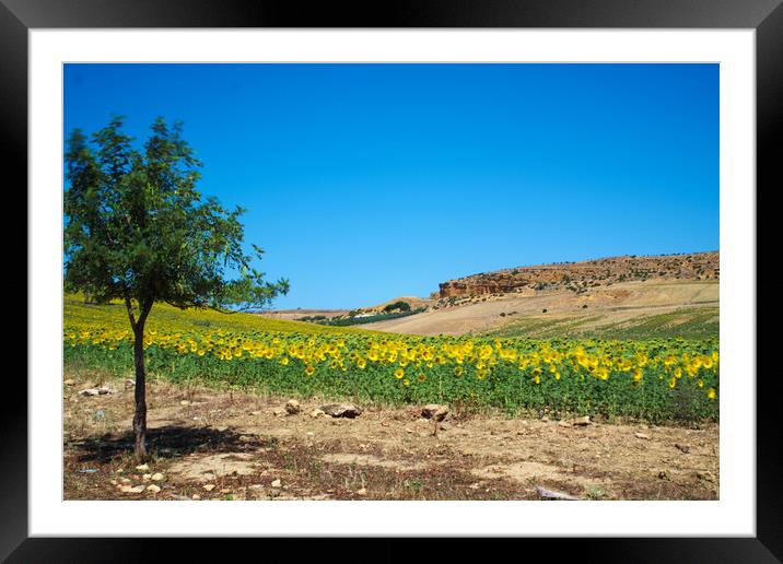 Landscape photography with a long exposition Framed Mounted Print by Jose Manuel Espigares Garc
