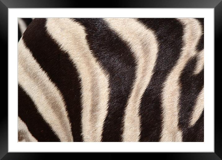 Abstract picture on a zebra Framed Mounted Print by Jose Manuel Espigares Garc