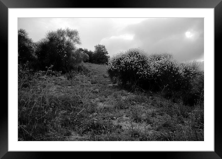 Landscpe near Carmona 4 Framed Mounted Print by Jose Manuel Espigares Garc