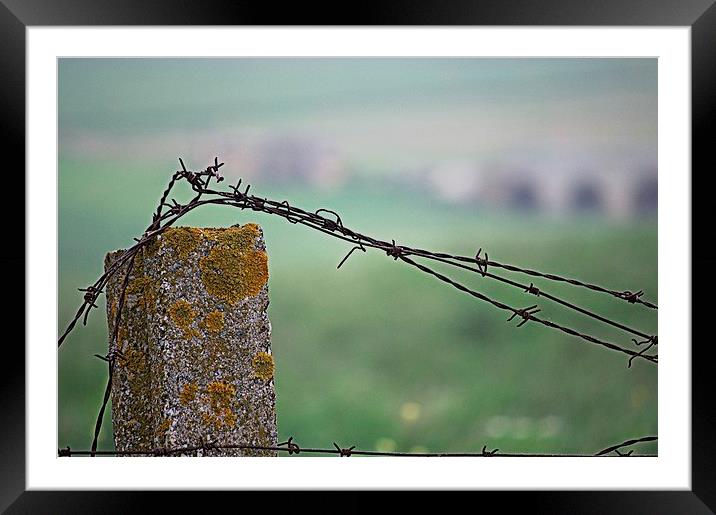 Barbed wire in the countryside 2 Framed Mounted Print by Jose Manuel Espigares Garc