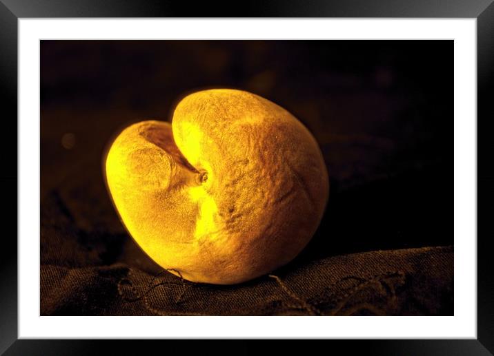 This is pure experimentation: A peach has been use Framed Mounted Print by Jose Manuel Espigares Garc