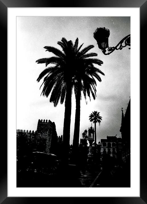 Palm tree in Seville Framed Mounted Print by Jose Manuel Espigares Garc