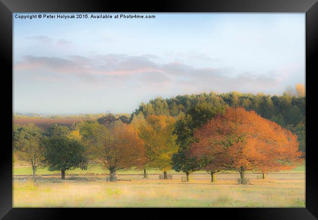 Autumn Hues Framed Print by Pete Holyoak