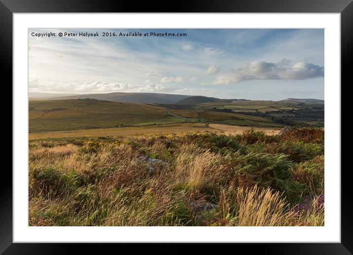 Dartmoor  Framed Mounted Print by Pete Holyoak