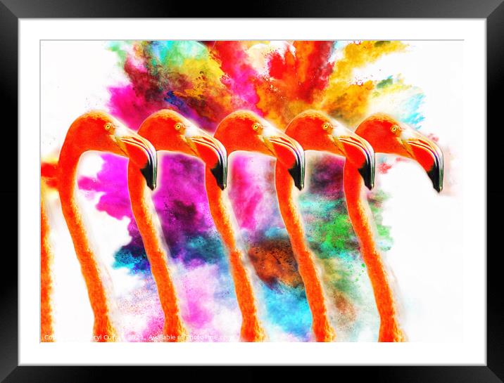 Explosion of Colour Flamingo Army Framed Mounted Print by Beryl Curran