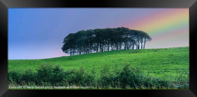 Majestic Rainbow over the coming home trees  Framed Print by Beryl Curran