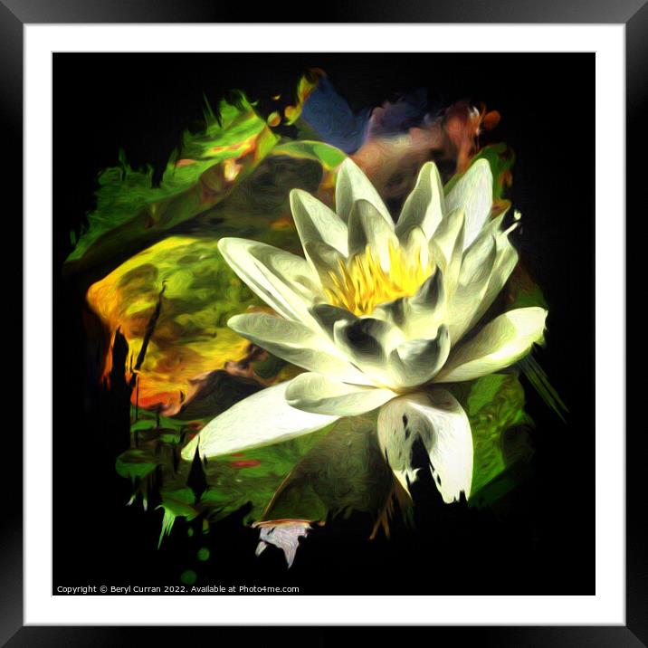 Immaculate Water Lily Framed Mounted Print by Beryl Curran