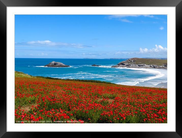 Majestic Red Poppies at Crantock Framed Mounted Print by Beryl Curran