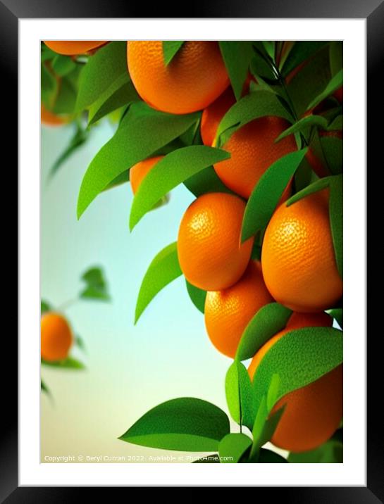 Juicy Citrus Burst Framed Mounted Print by Beryl Curran