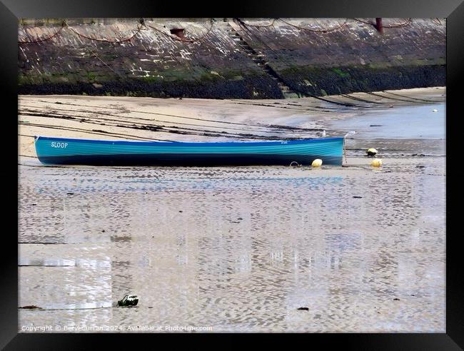 Sloop Gig boat St Ives Framed Print by Beryl Curran