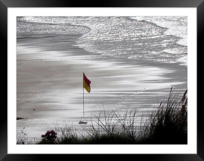 Safe Waters Warning Framed Mounted Print by Beryl Curran