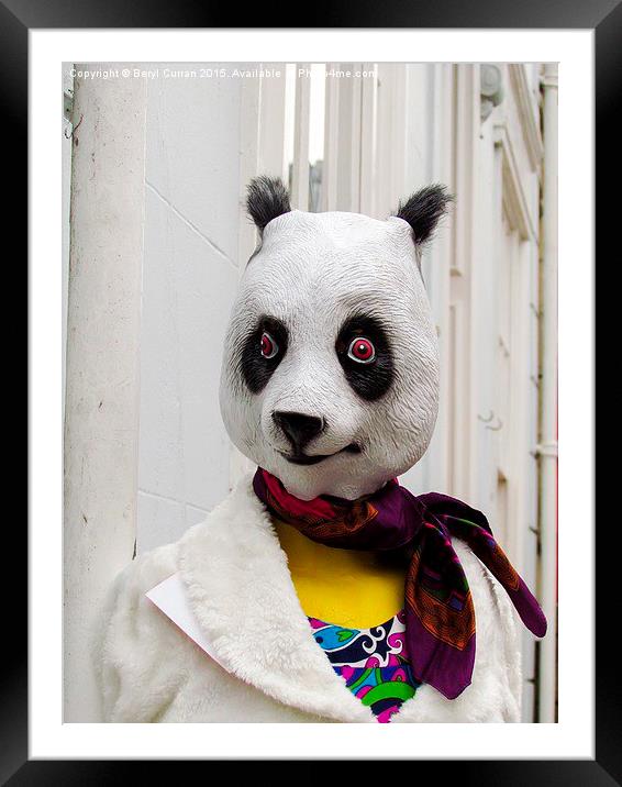 Groovy Panda Shops in Truro Framed Mounted Print by Beryl Curran