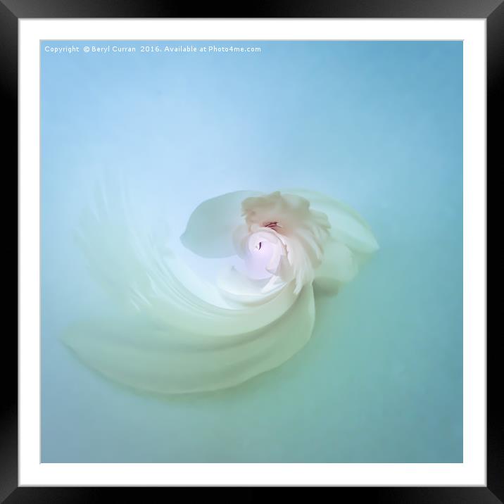 Enchanting Rosebud and Daisy Bouquet Framed Mounted Print by Beryl Curran