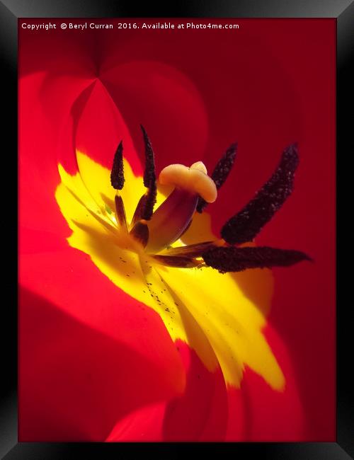 Dancing in the Wind Framed Print by Beryl Curran