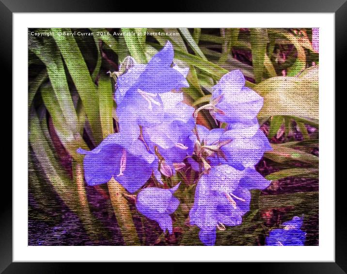 Blue Symphony Framed Mounted Print by Beryl Curran