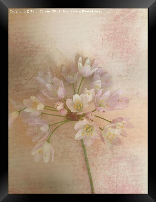 Enchanting Wild Bellflowers Framed Print by Beryl Curran