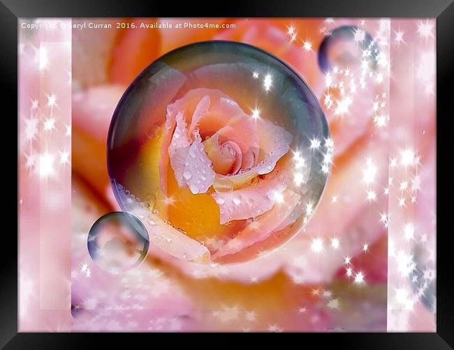 Enchanted Rose Bubble Framed Print by Beryl Curran