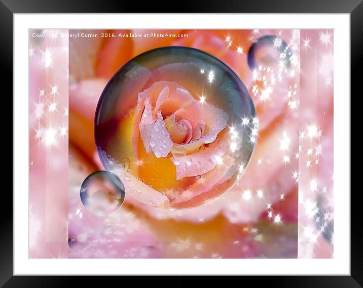 Enchanted Rose Bubble Framed Mounted Print by Beryl Curran
