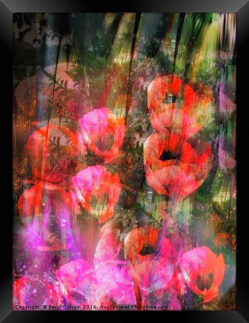 Blossoming Freedom Framed Print by Beryl Curran