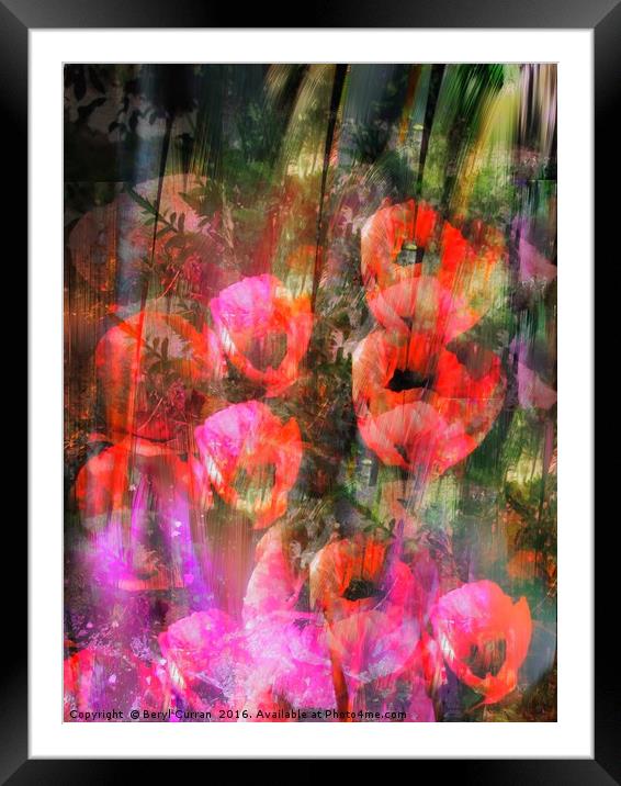 Blossoming Freedom Framed Mounted Print by Beryl Curran