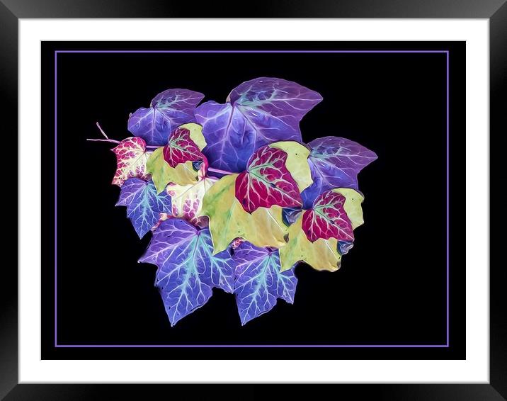 Transcending Colours Framed Mounted Print by Beryl Curran